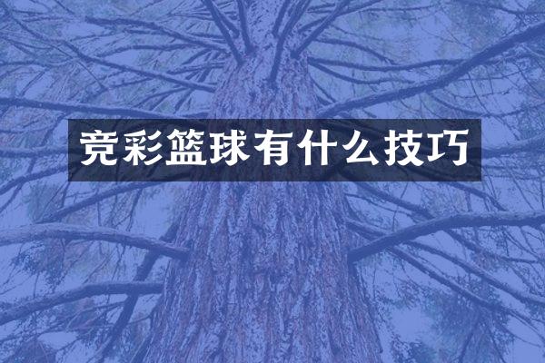 竞彩篮球有什么技巧