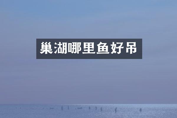 巢湖哪里鱼好吊
