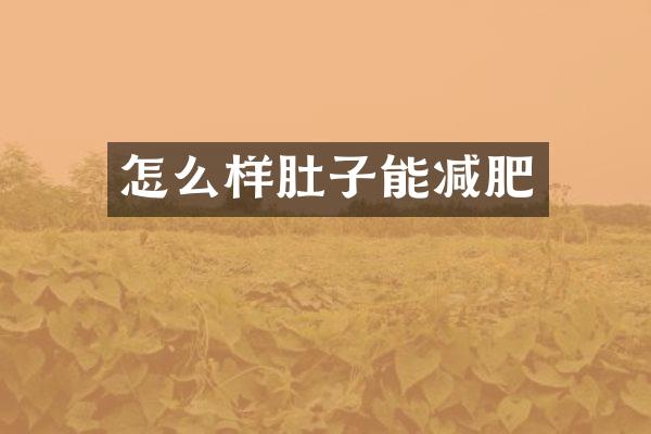 怎么样肚子能减肥