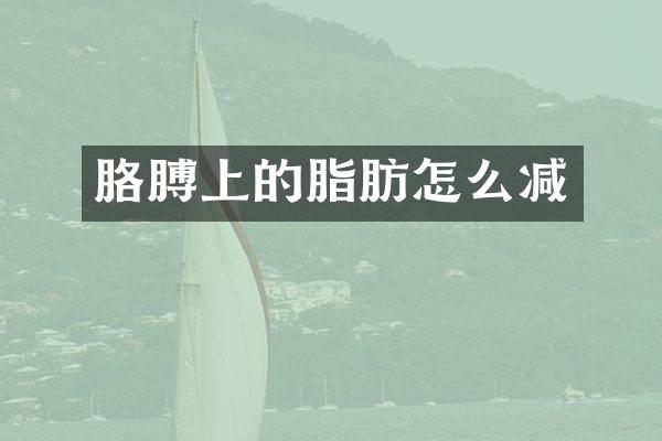 胳膊上的脂肪怎么减