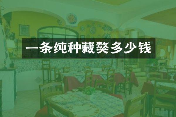 一条纯种藏獒多少钱