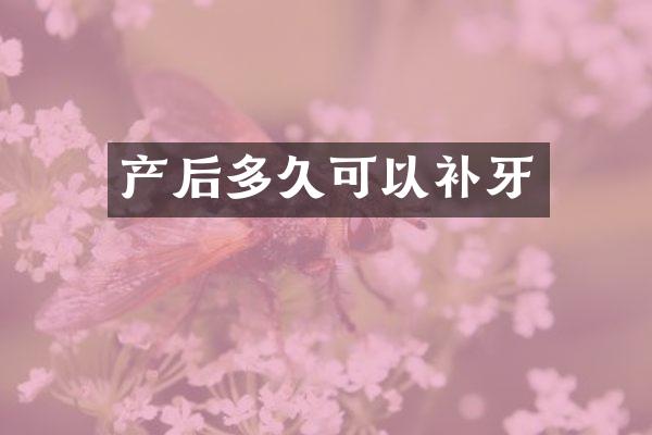 产后多久可以补牙