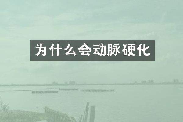 为什么会动脉硬化