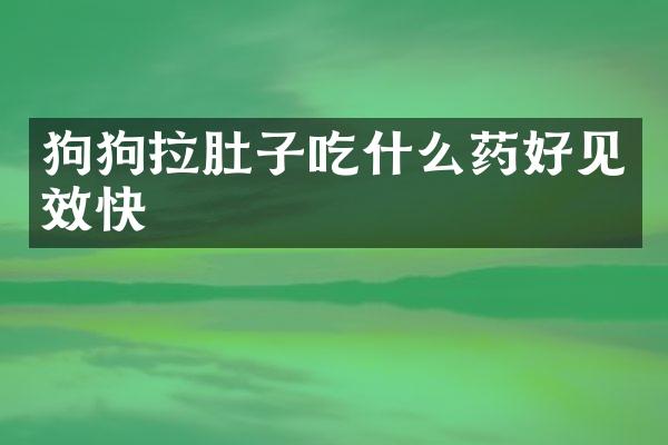 狗狗拉肚子吃什么药好见效快