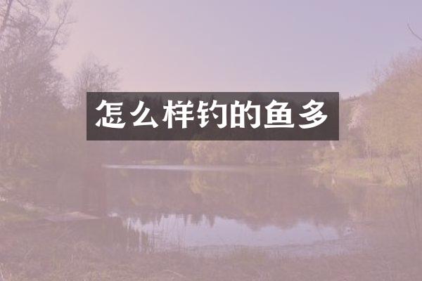怎么样钓的鱼多
