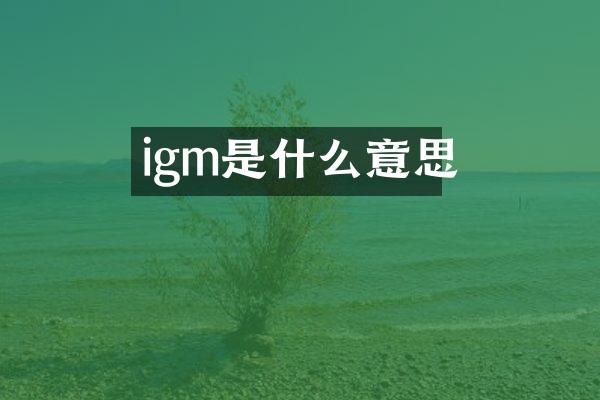 igm是什么意思