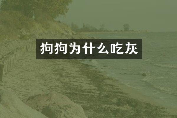 狗狗为什么吃灰