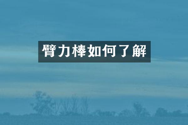 臂力棒如何了解