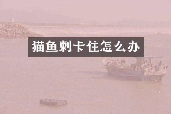猫鱼刺卡住怎么办