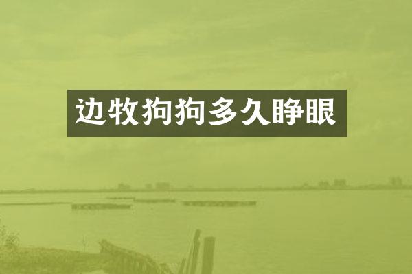 边牧狗狗多久睁眼
