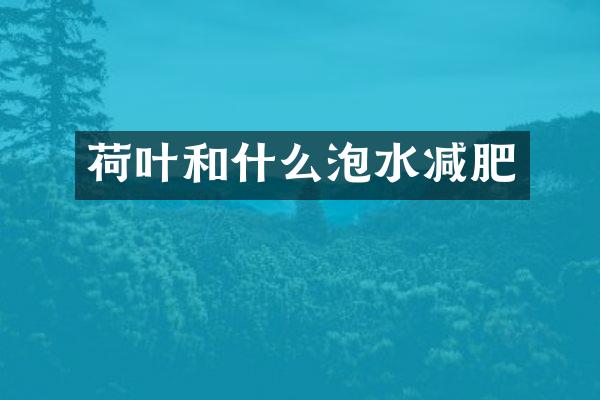 荷叶和什么泡水减肥