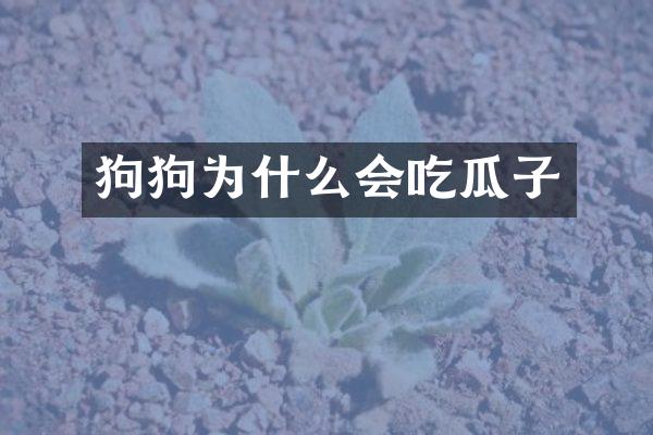 狗狗为什么会吃瓜子