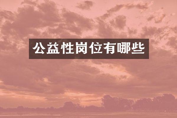 公益性岗位有哪些