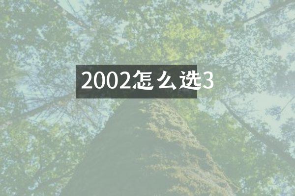 2002怎么选3