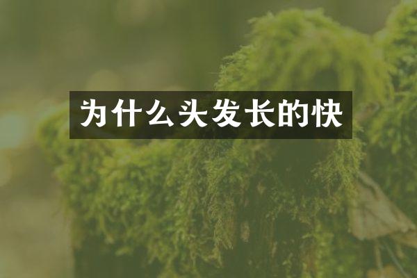 为什么头发长的快