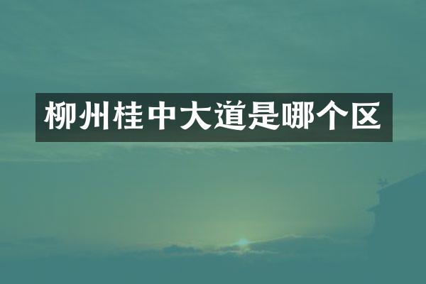 柳州桂中大道是哪个区