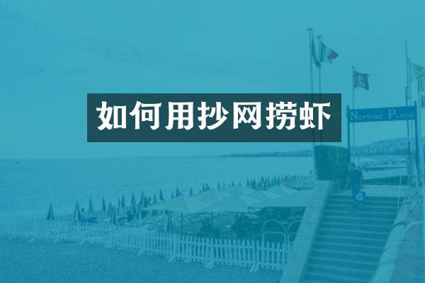 如何用抄网捞虾