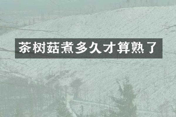 茶树菇煮多久才算熟了