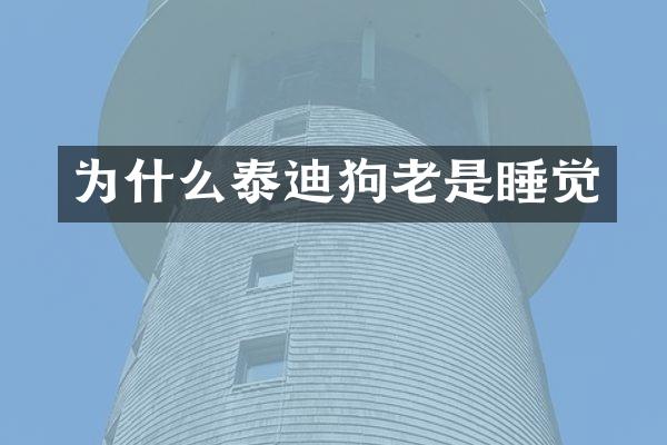 为什么泰迪狗老是睡觉
