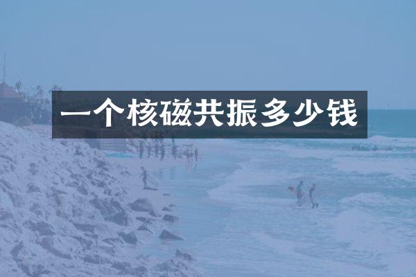 一个核磁共振多少钱