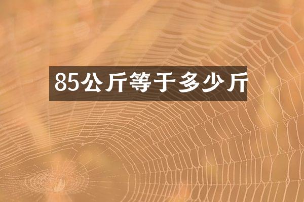 85公斤等于多少斤