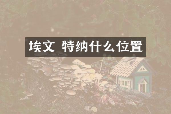 埃文 特纳什么位置