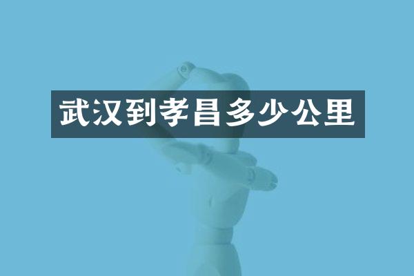 武汉到孝昌多少公里