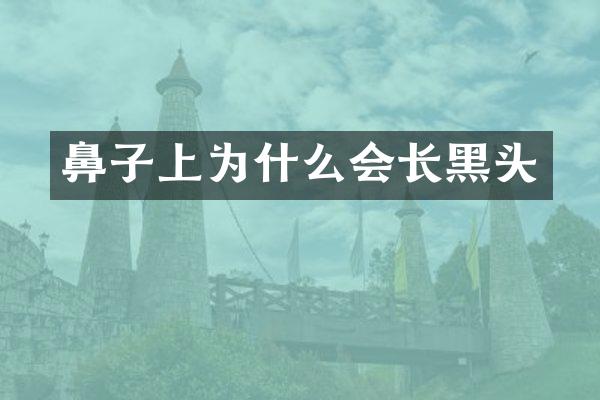 鼻子上为什么会长黑头