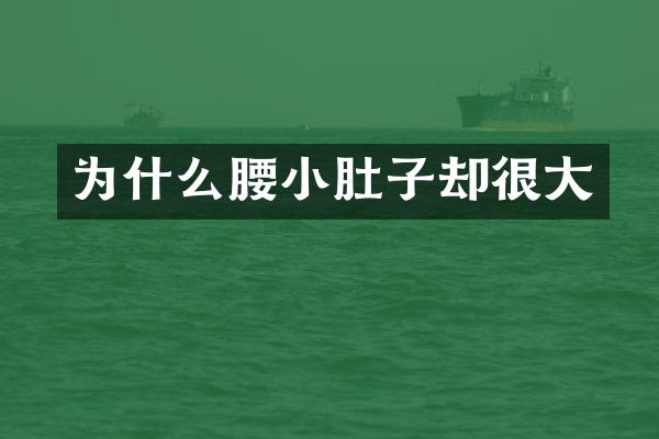 为什么腰小肚子却很大