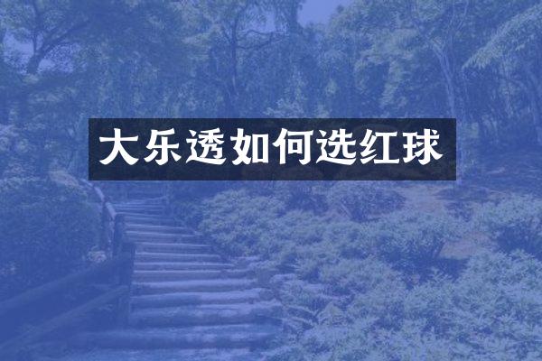 大如何选红球