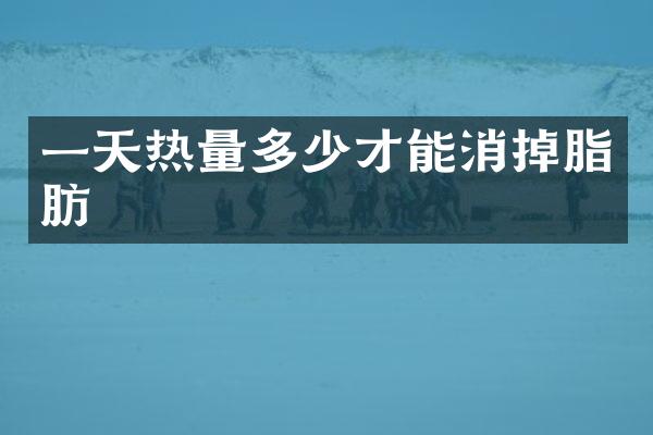 一天热量多少才能消掉脂肪