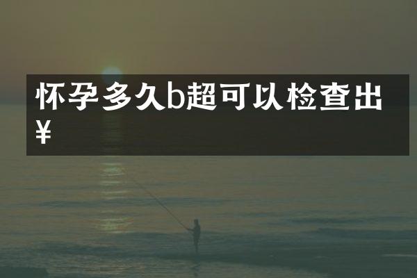 怀孕多久b超可以检查出来