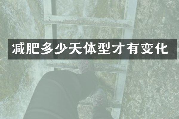 减肥多少天体型才有变化