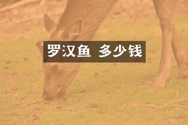罗汉鱼 多少钱