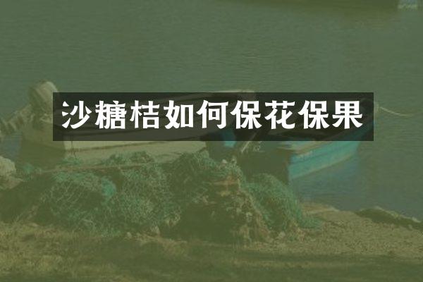 沙糖桔如何保花保果