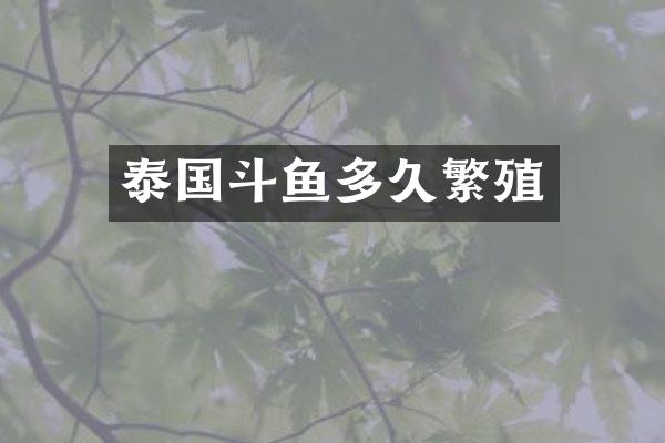 泰国斗鱼多久繁殖