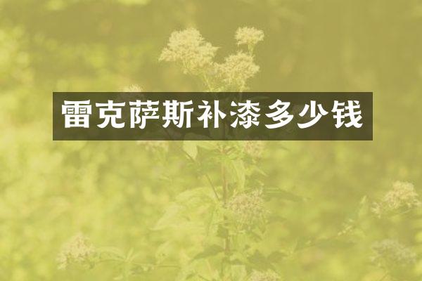 雷克萨斯补漆多少钱