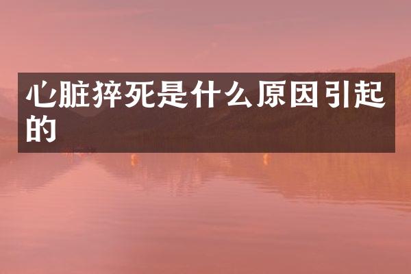 心脏猝死是什么原因引起的