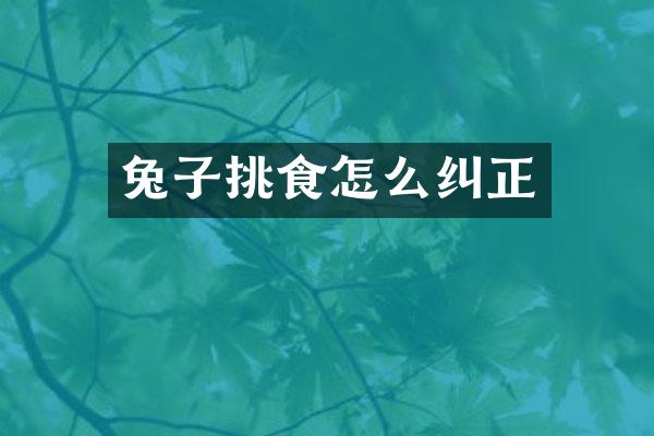 兔子挑食怎么纠正