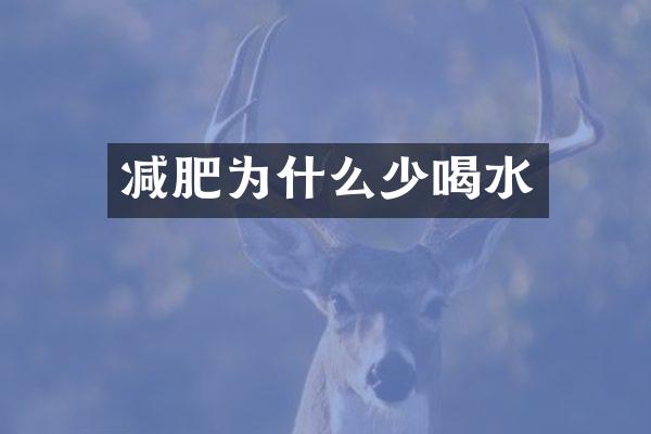 减肥为什么少喝水