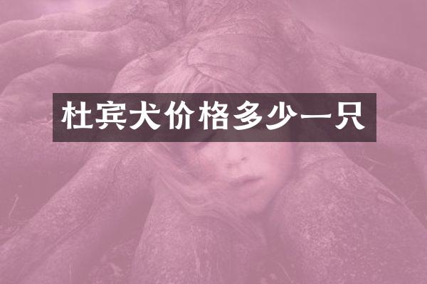 杜宾犬价格多少一只