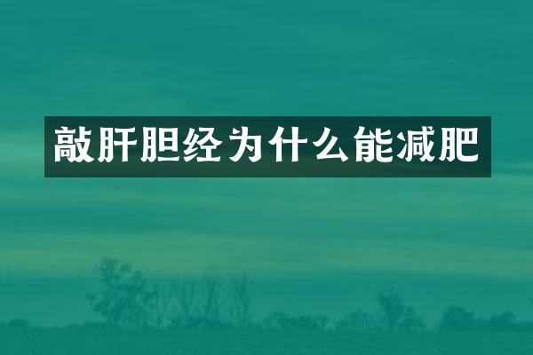 敲肝胆经为什么能减肥