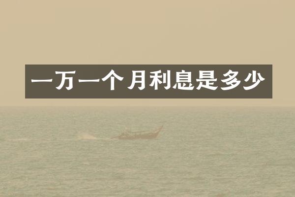 一万一个月利息是多少