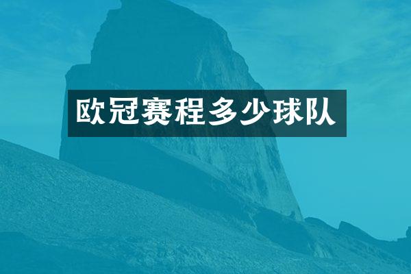 欧冠赛程多少球队