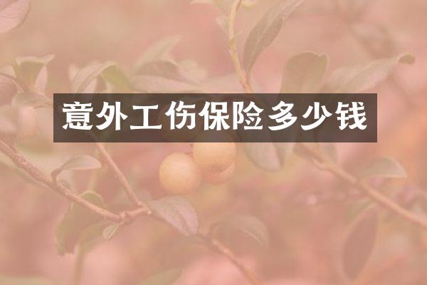 意外工伤保险多少钱