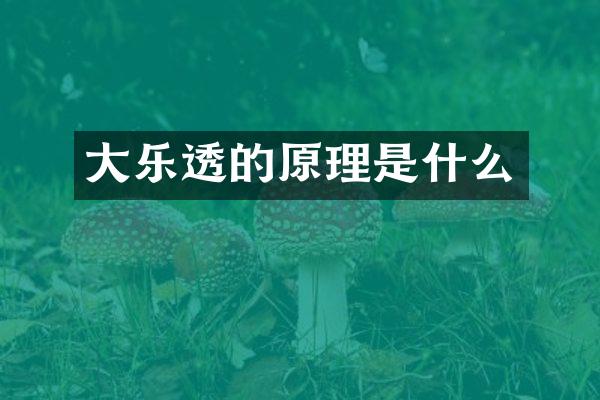 大的原理是什么