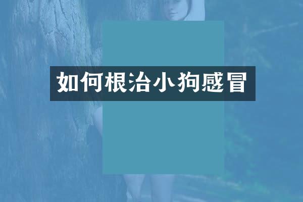 如何根治小狗感冒