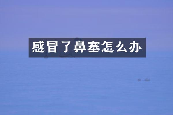 感冒了鼻塞怎么办