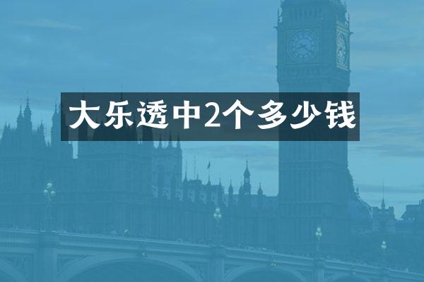 大中2个多少钱