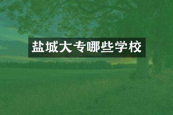 盐城大专哪些学校